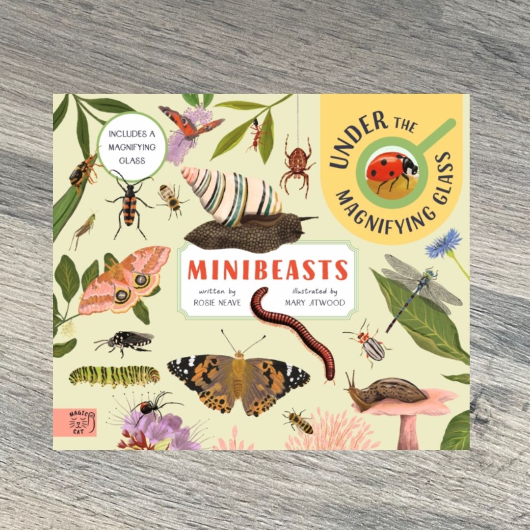 Minibeasts: Under the Magnifying Glass by Rosie Neave